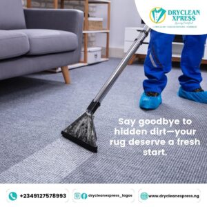 The Rug Reviver Deal